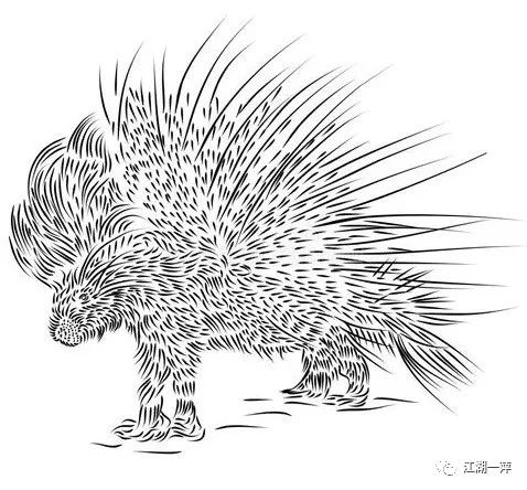 █豪猪司令与豪猪图