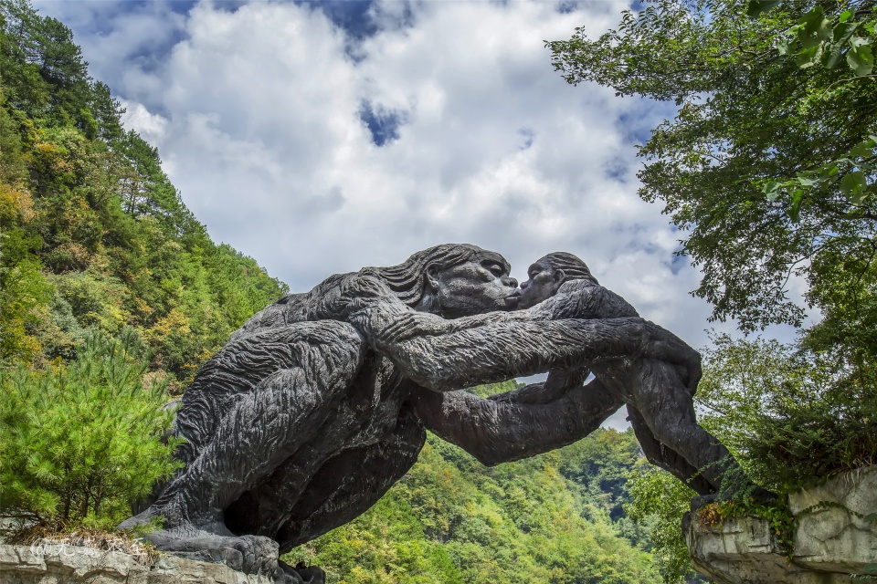 神農架以生物多樣性彌補了世界遺產名錄空白的神奇秘境