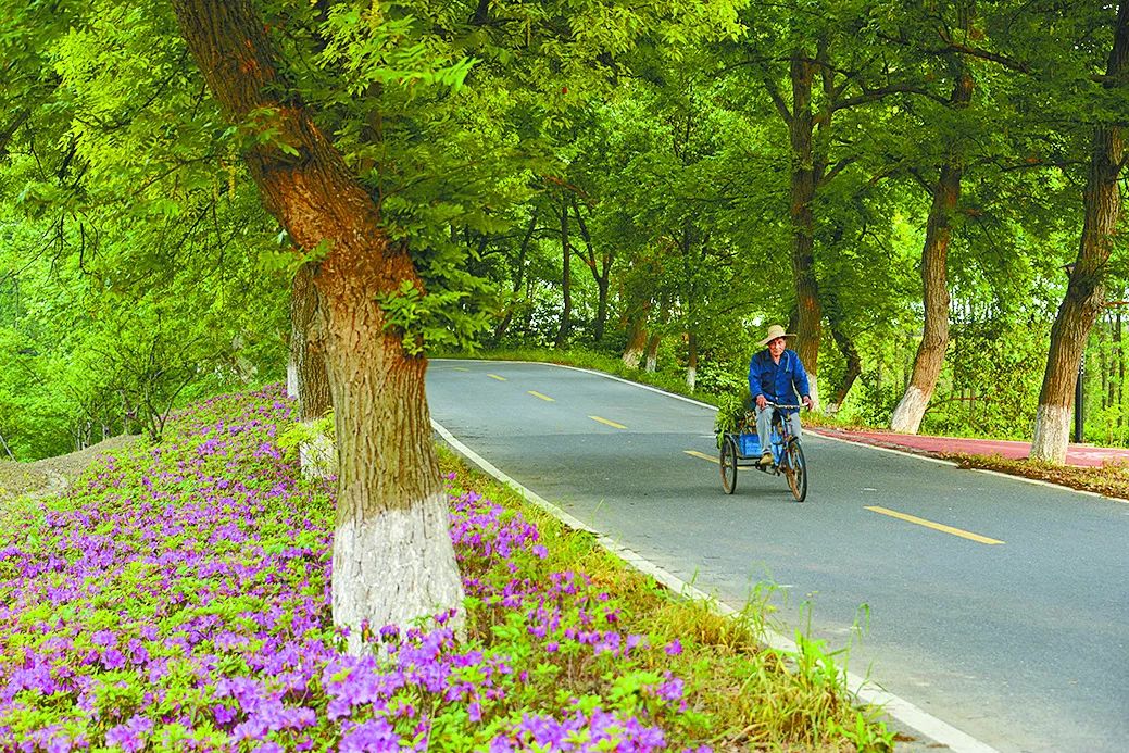 海宁这个地方满足一家人游玩的所有幻想吃喝玩娱购乐齐了