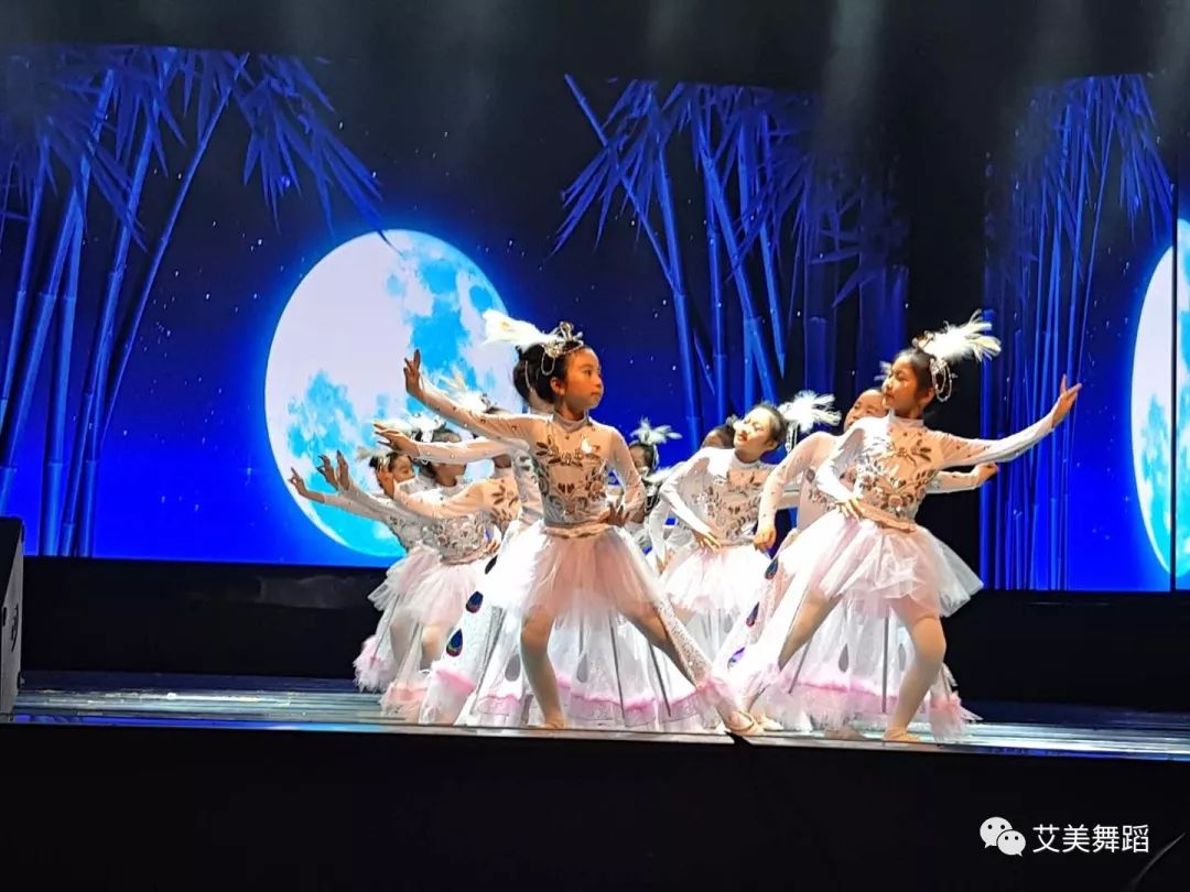 遇见爱与美同行艾美舞蹈六一爱心公益演出圆满结束