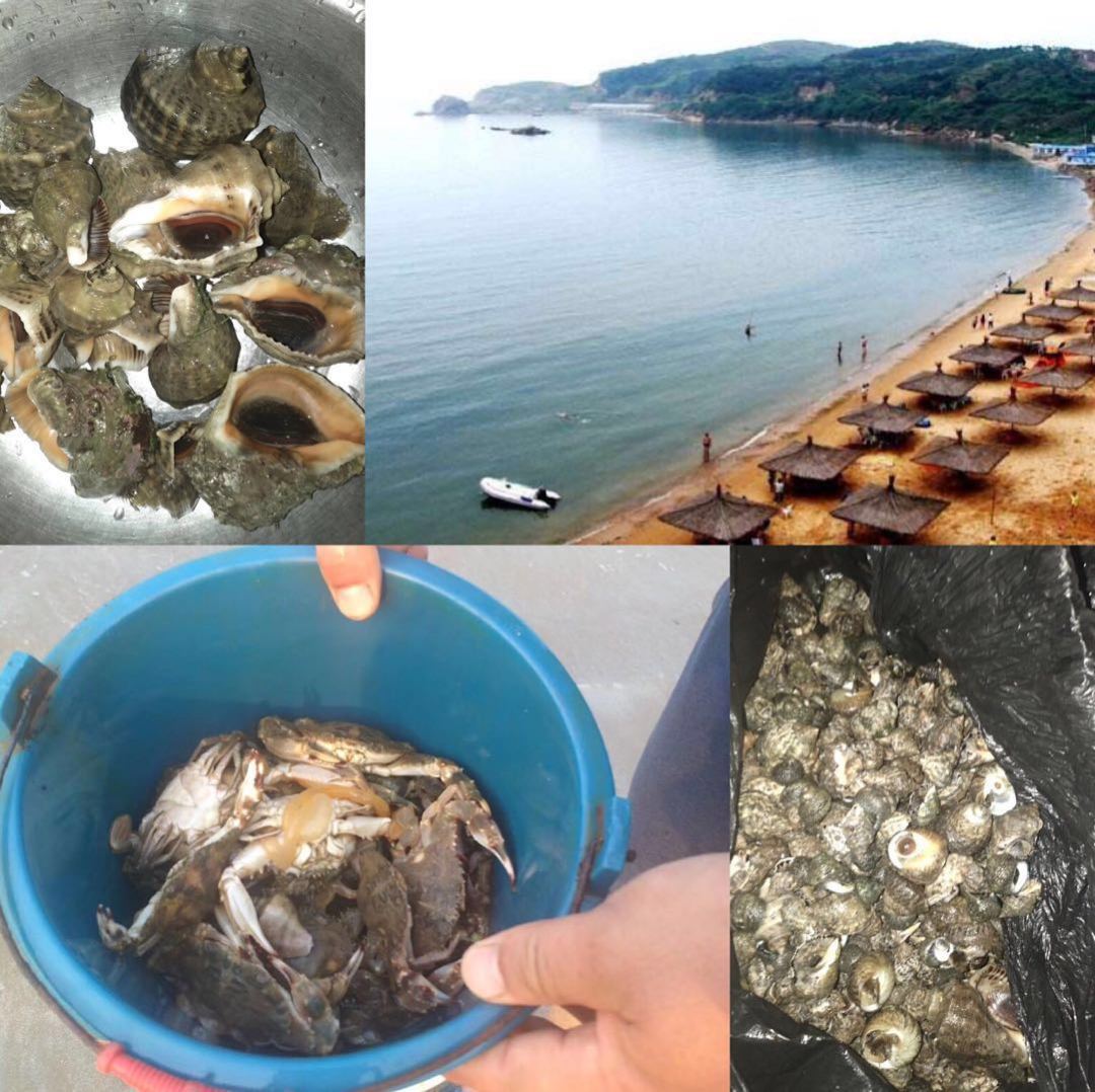 端午节去西中岛赶海,赴赤山踏青,顺道美美洗温泉,幸福感爆棚!