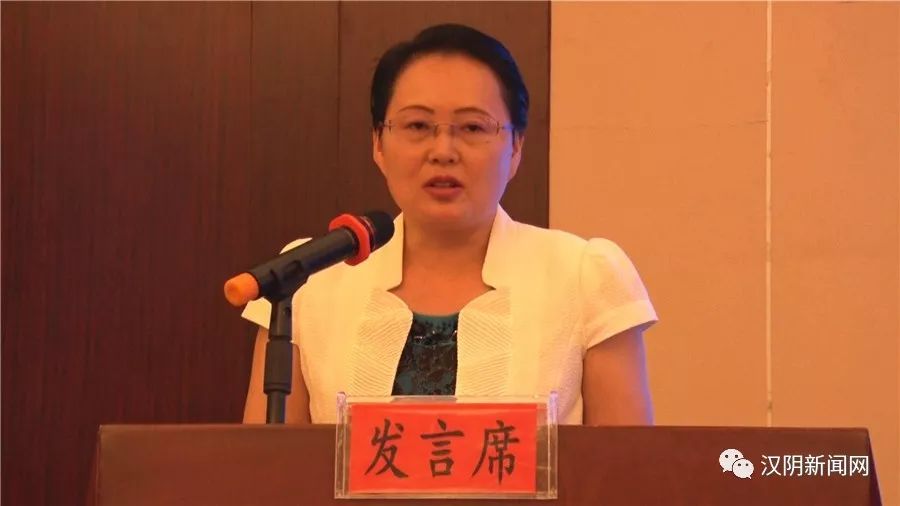 汉阴这项工作经验获全省关注,县长作经验交流!