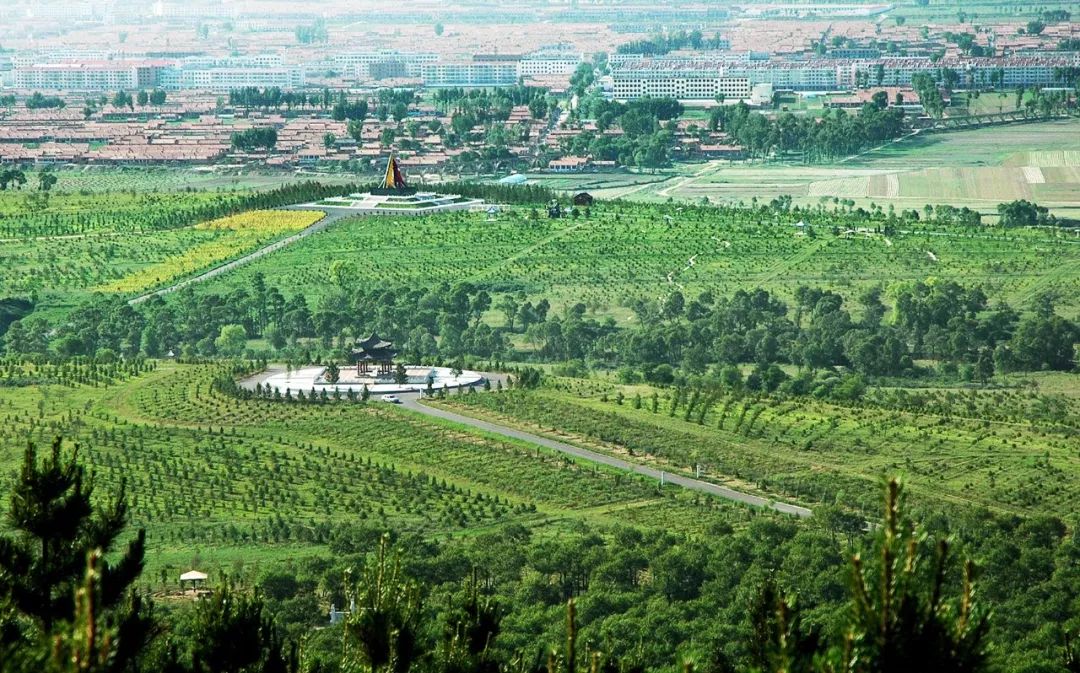 担当作为久久为功右玉县传承弘扬右玉精神全力推动高质量发展侧记