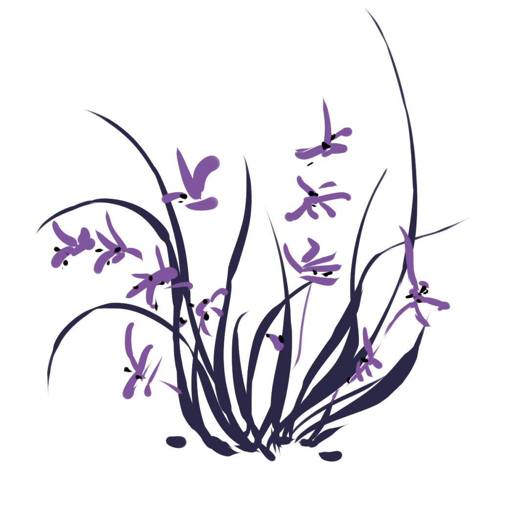 安妮宝贝挖兰花