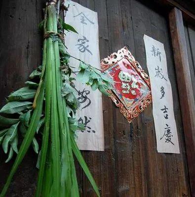 端午门前为啥挂菖蒲中药师和你说说菖蒲的神奇之处