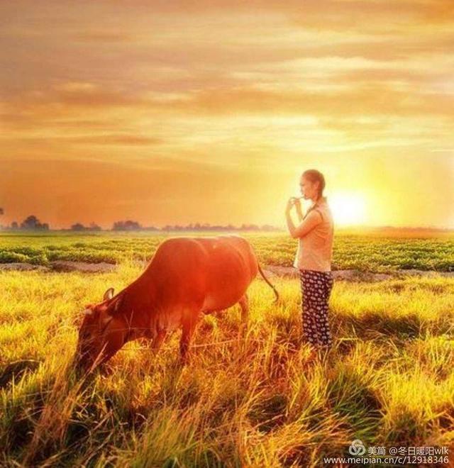 牧童的歌声在荡漾走在乡间的小路上遗忘在乡间的小路上都随晚风飘散