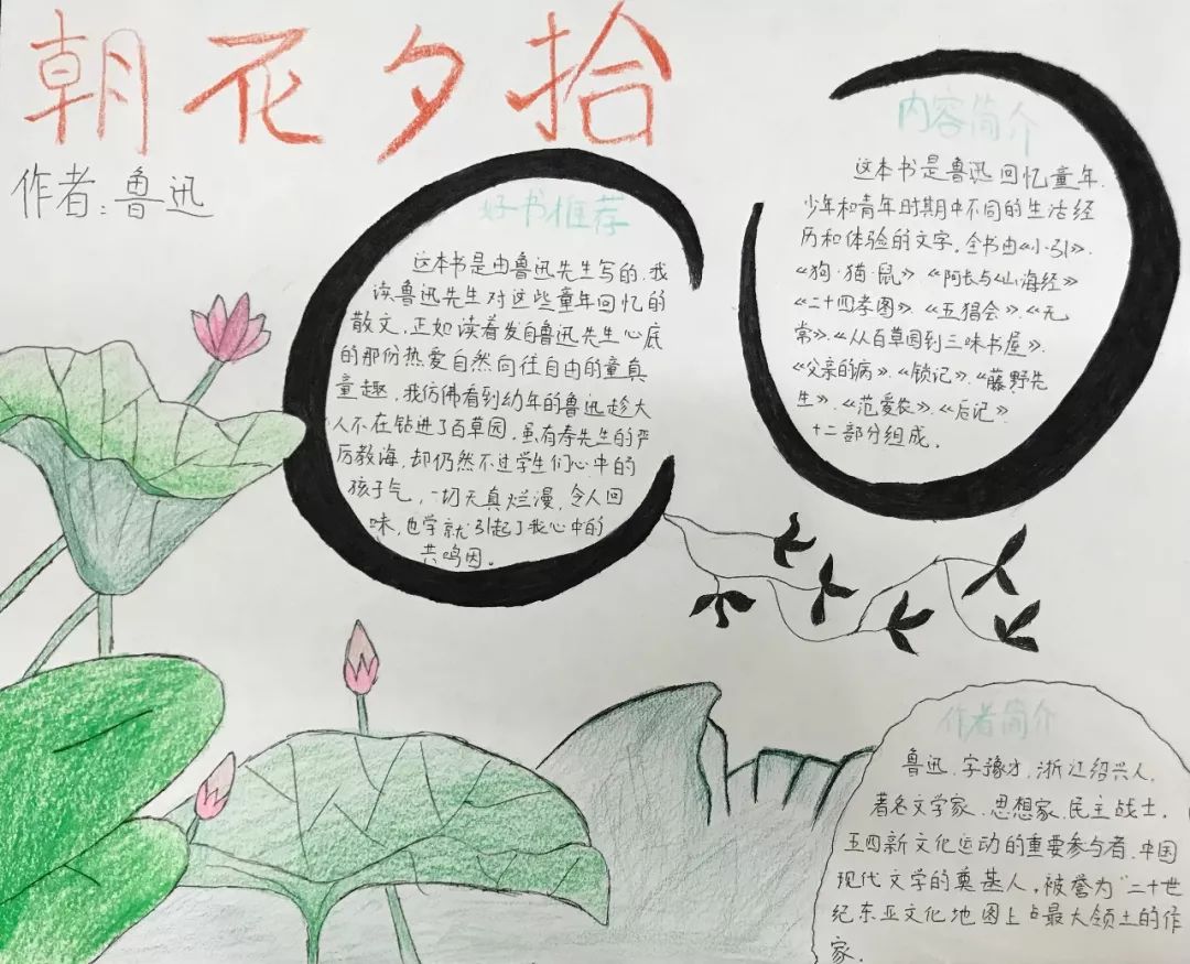 学校:湖南省耒阳市芭蕉完小班级:三年级作者:王欢书名:《孤岛野犬》4