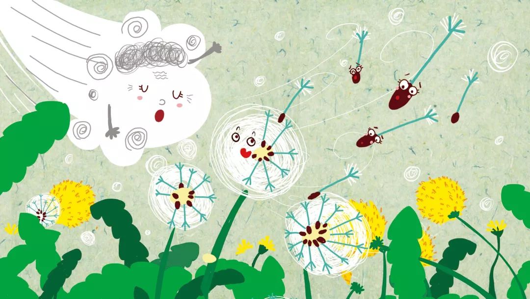 蒲公英妈妈的白头发蒲公英的特性