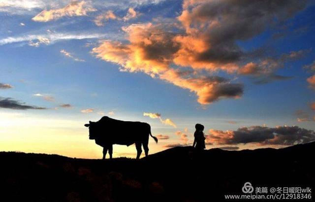 蓝天配朵夕阳在胸膛缤纷的云彩是晚霞的衣裳荷把锄头在肩上牧童的歌声