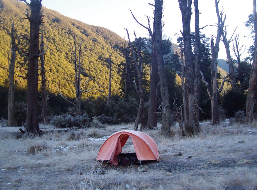 放弃都市生活我们选择在新西兰的野外待7年