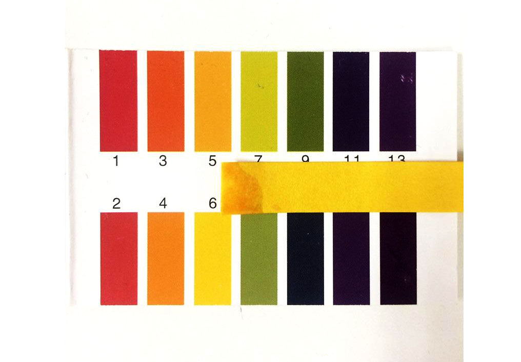 很开心,因为就不用费劲儿的等花开才能知道土壤ph值有没有调试成功了