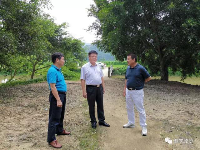 市政协领导陈家康调研德庆县回龙镇乡村旅游项目建设工作