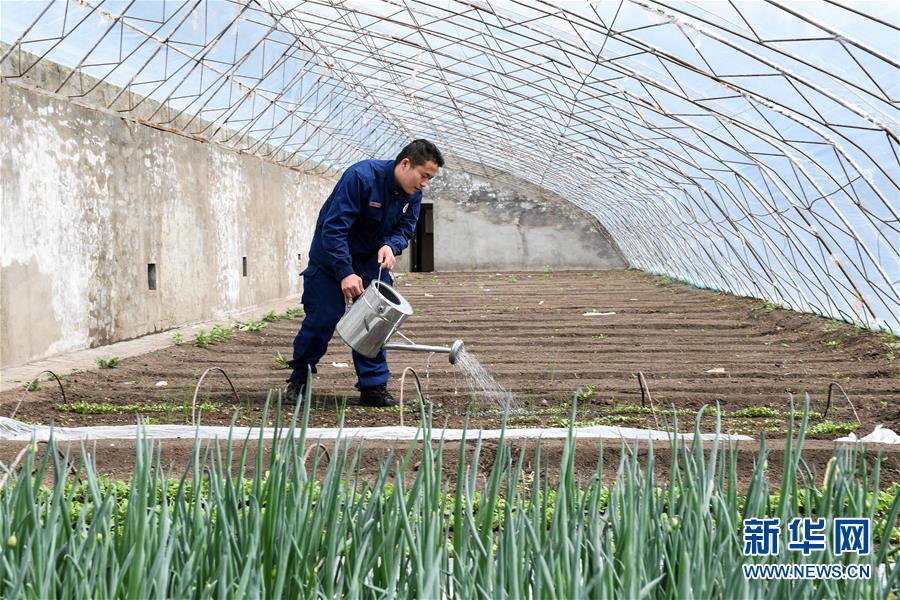 林海孤島唱響冰與火之歌——記內蒙古森林消防總隊大興安嶺支隊奇乾