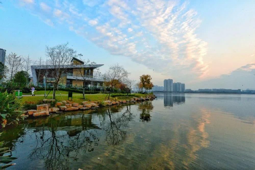 这个城市里的绿海公园生活家你一定不能错过