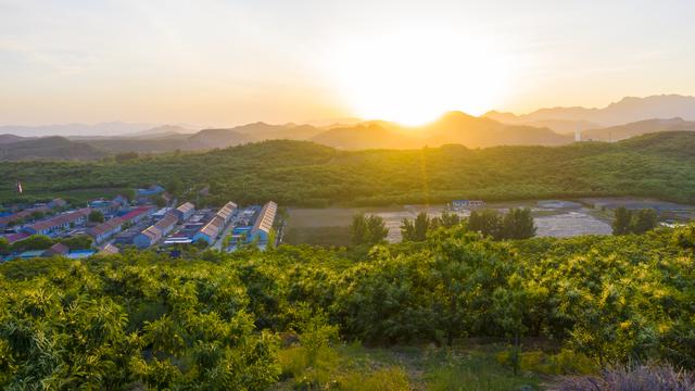 板栗花香漫山野,戀鄉小鎮等你來嗨_遵化