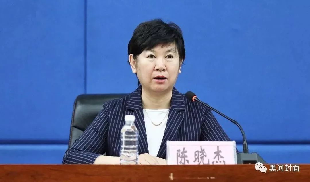 黑龙江省文化和旅游厅副厅长于峰,黑河市副市长陈晓杰,俄罗斯阿穆尔州