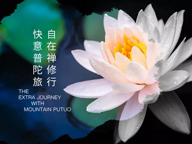 舟山喜来登威斯汀倾情打造快意普陀禅意之旅周末清心正当时