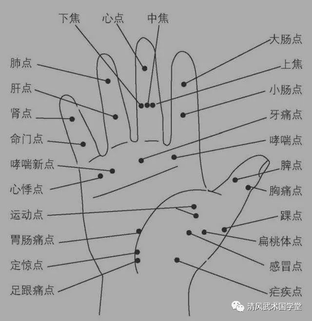手指五行图 记忆图片