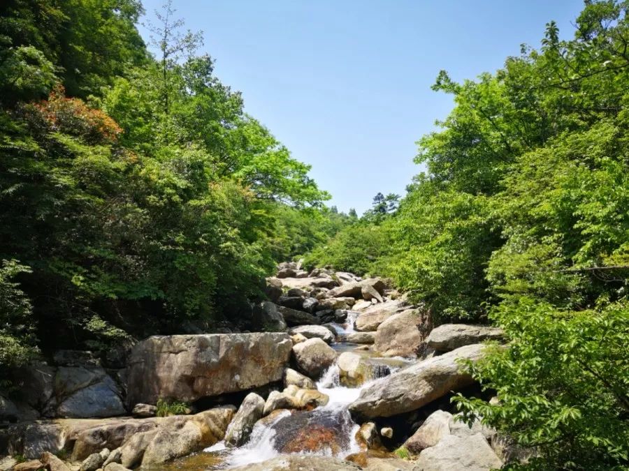 行程:青莲寺谷地—三叠泉—王家坡谷地—望江亭day 2在这里,老师结合