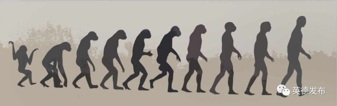人类进化过程纪录片图片