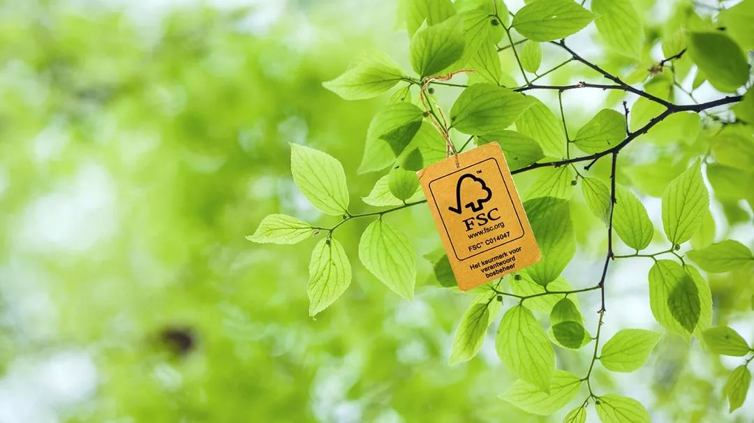 世界环境日你选择怎样的可持续生活