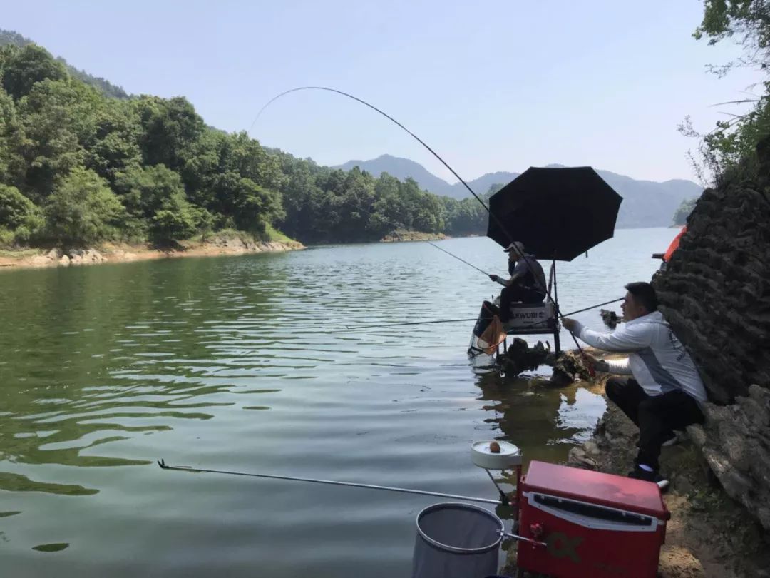 湘江钓获三十斤老鲤鱼鳞片竟已掉光不但能还很好吃