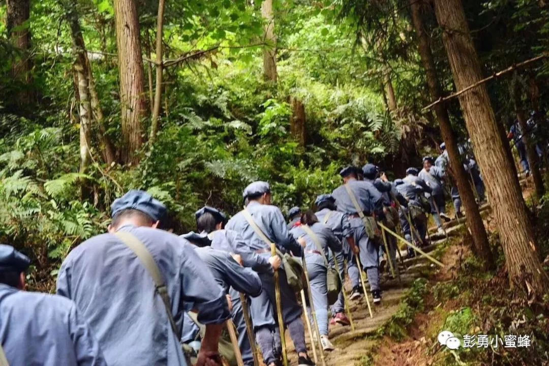 星星之火遍全国朱毛巨手紧相握劫富济贫世无双说袁王 汇井冈革命信念