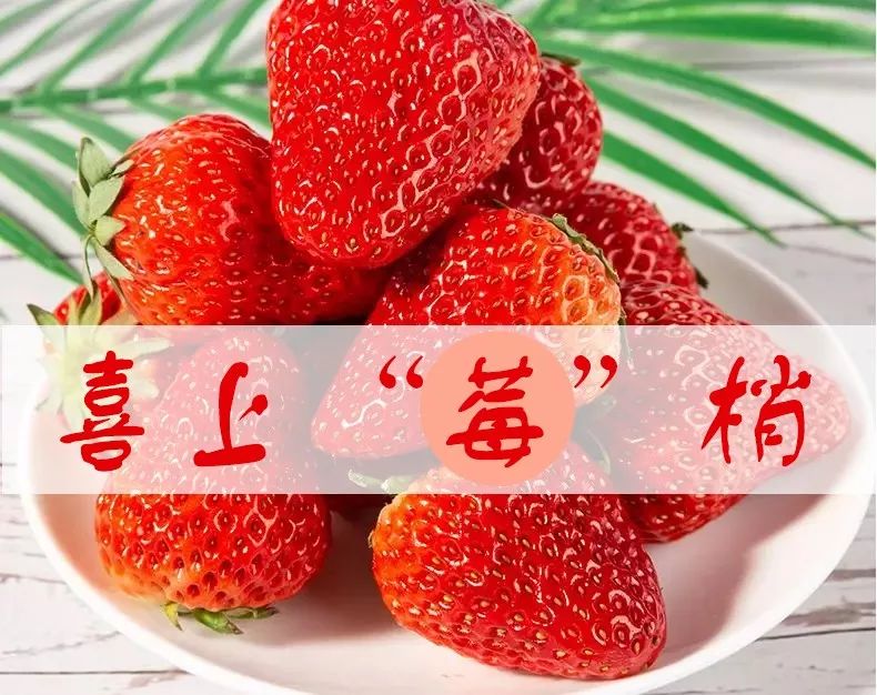 高考加油站带着美好的寓意奔赴考场吧