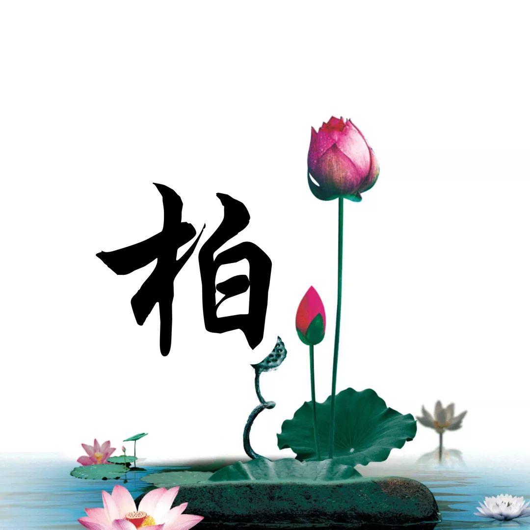 百家姓头像大全