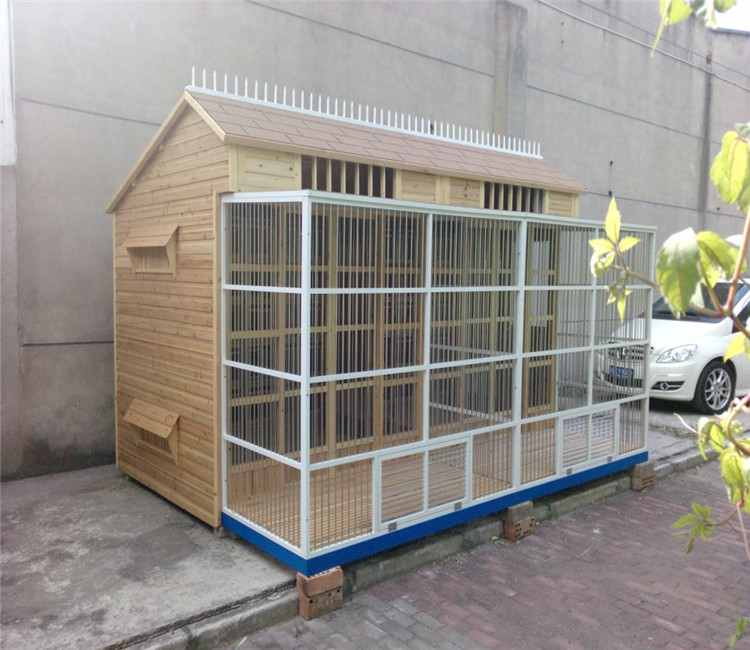 夏季高温时节的到来鸽舍清理蚊虫三种方法如何做到简单有效