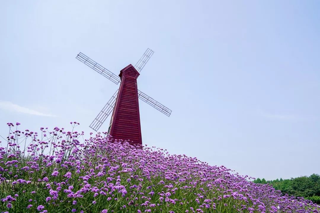 这是一片不一样的海张浦新晋网红打卡点