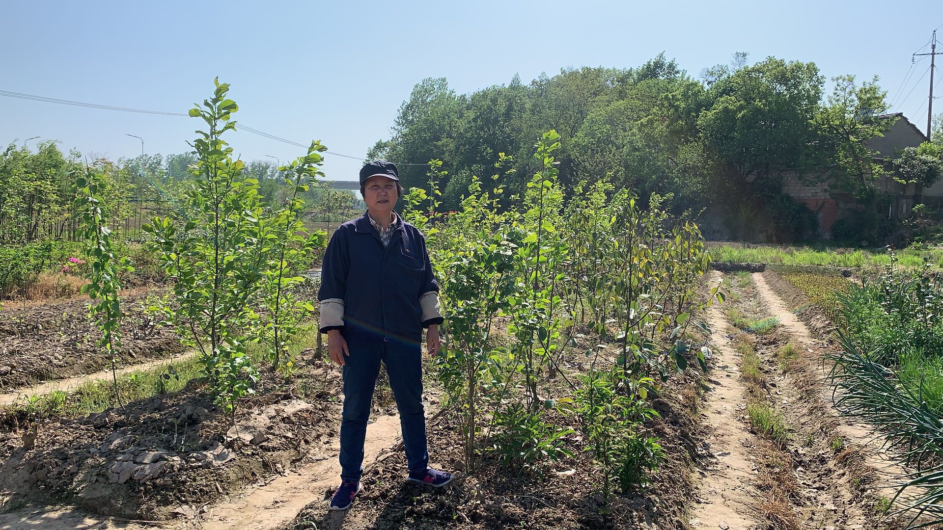 脱贫之星方玉梅的脱贫路