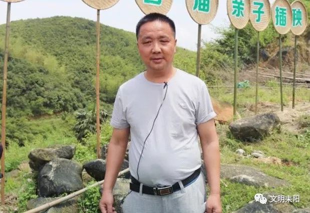 耒阳城里这些人居然跑去元明坳种田了