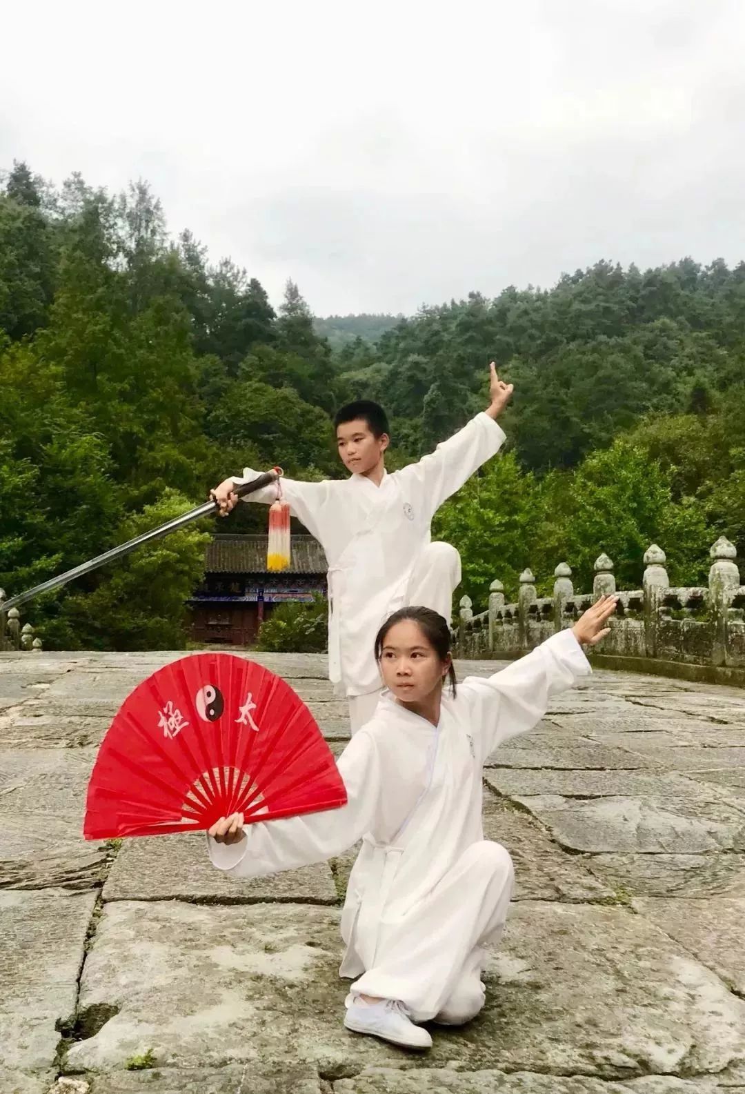 武当太极拳魅力无限-探索最新培训动态