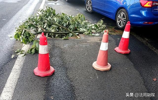 常德交警直属一大队积极开展城市道路井盖交通安全隐患排查