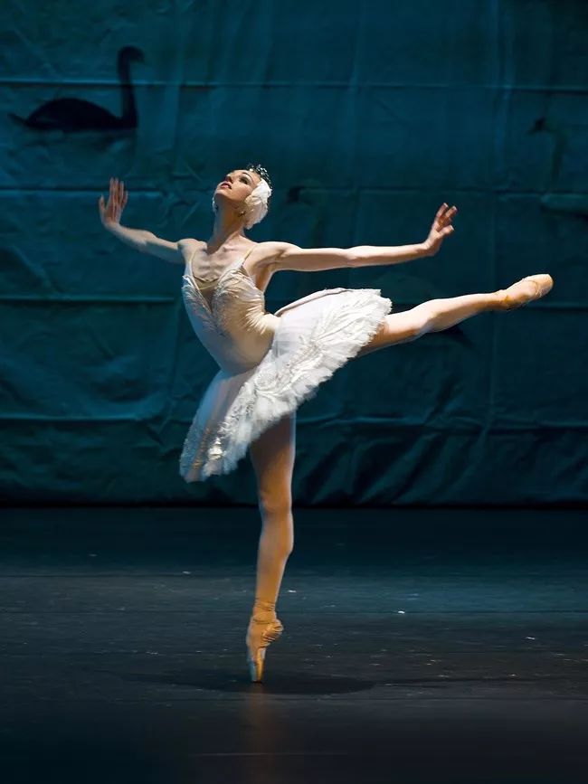 每一个不曾起舞的日子,都是对生命的辜负._芭蕾舞