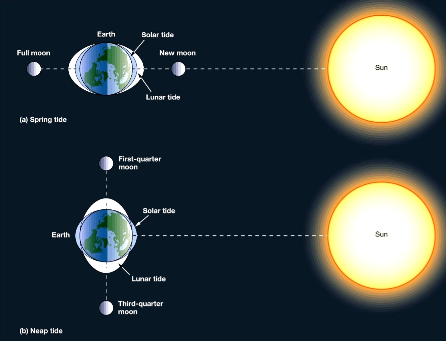 潮汐效应潮汐效应怎样减慢自转?