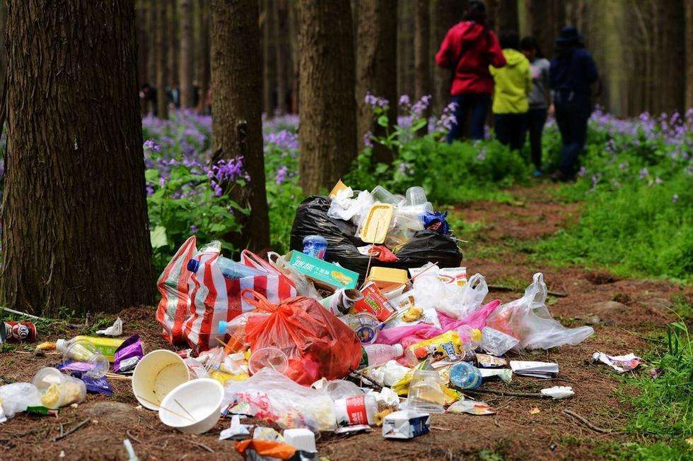 森林教育丨让孩子和生活垃圾说"hello" 和"bye"