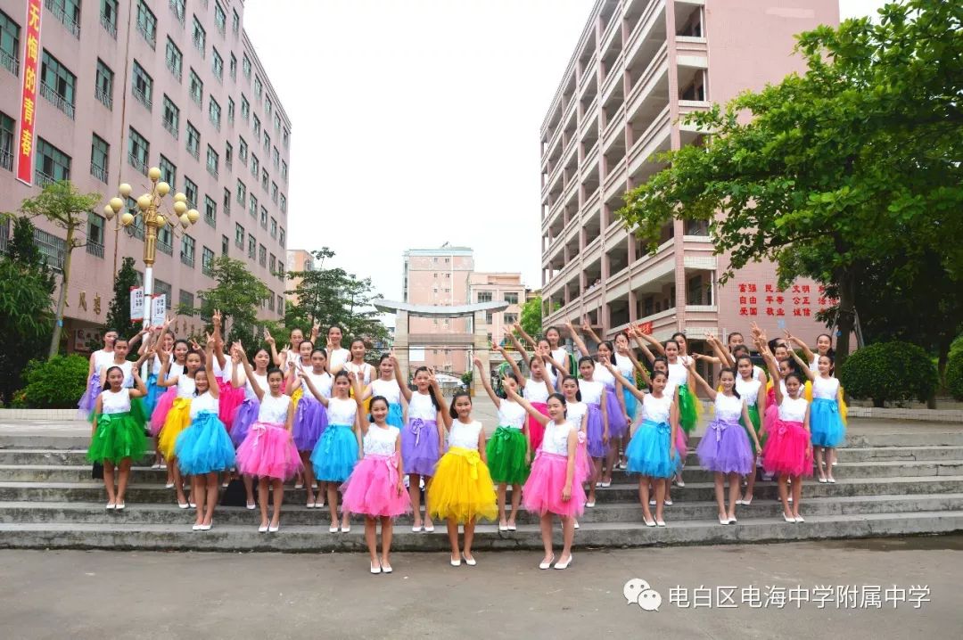 招生电白区电海中学附属中学2019年秋初一招生简章