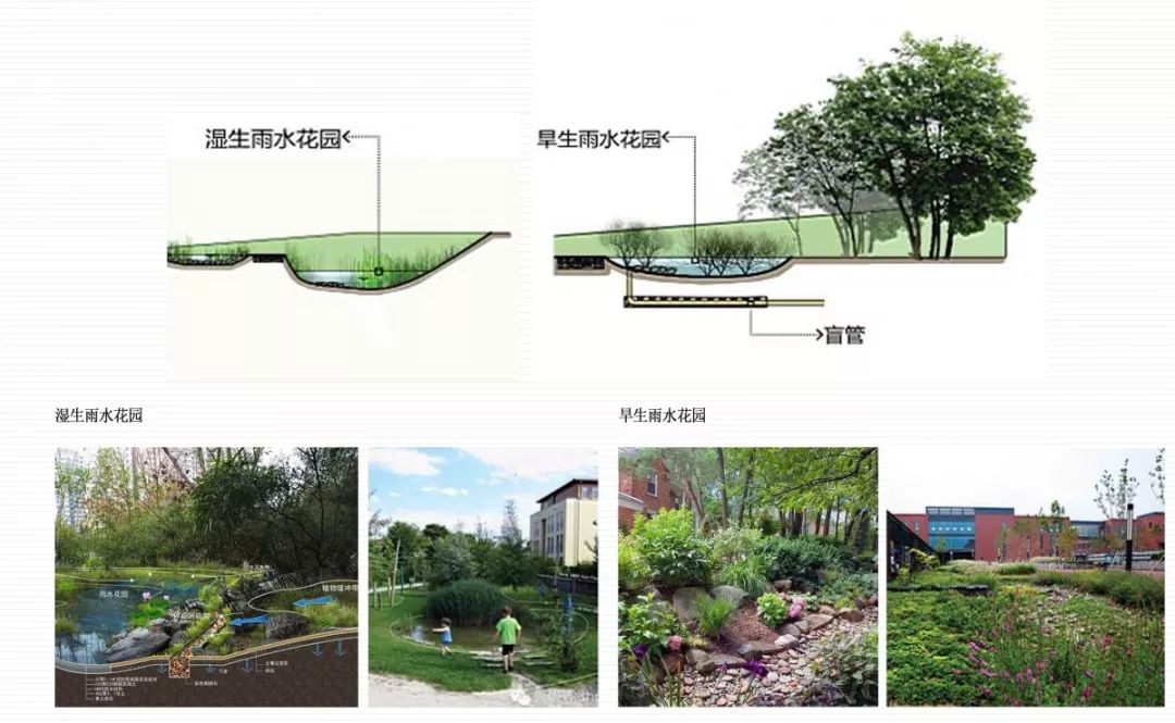 6個半足球場大小計劃今年完工丁蘭將迎來一大型海綿城市公園