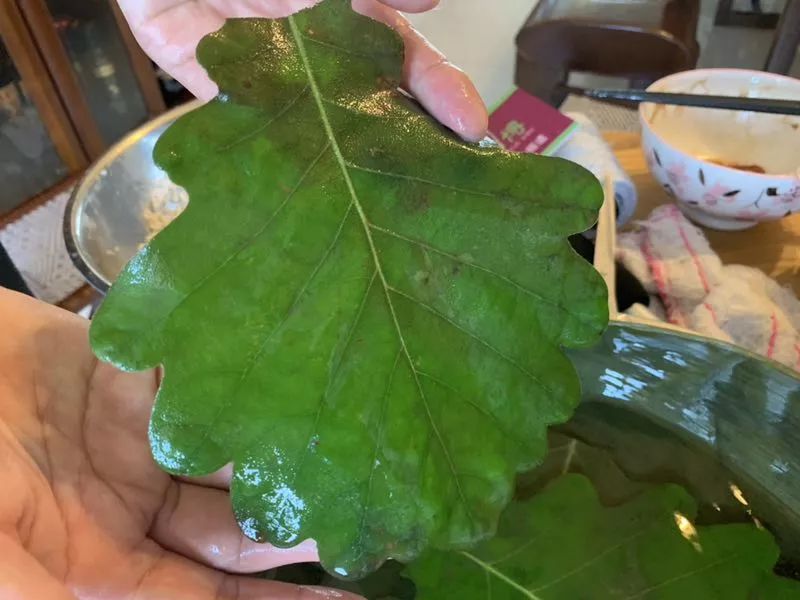 美食淄博桲椤叶包粽子美味中有回忆