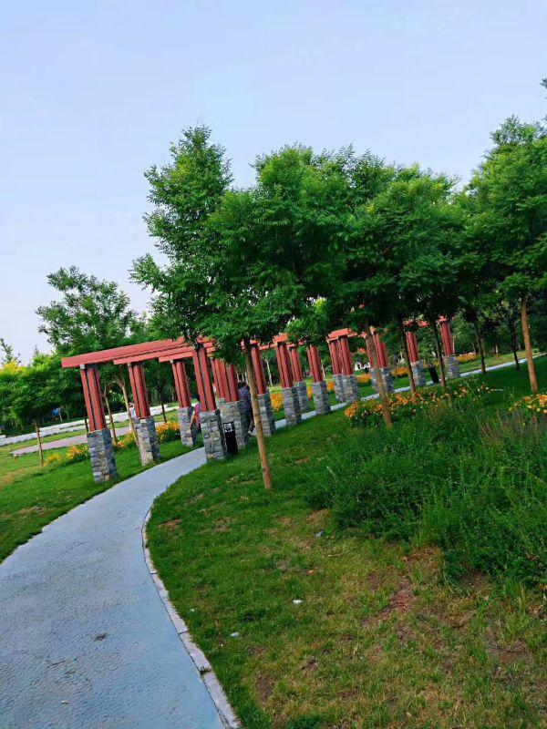 题高邑中兴公园