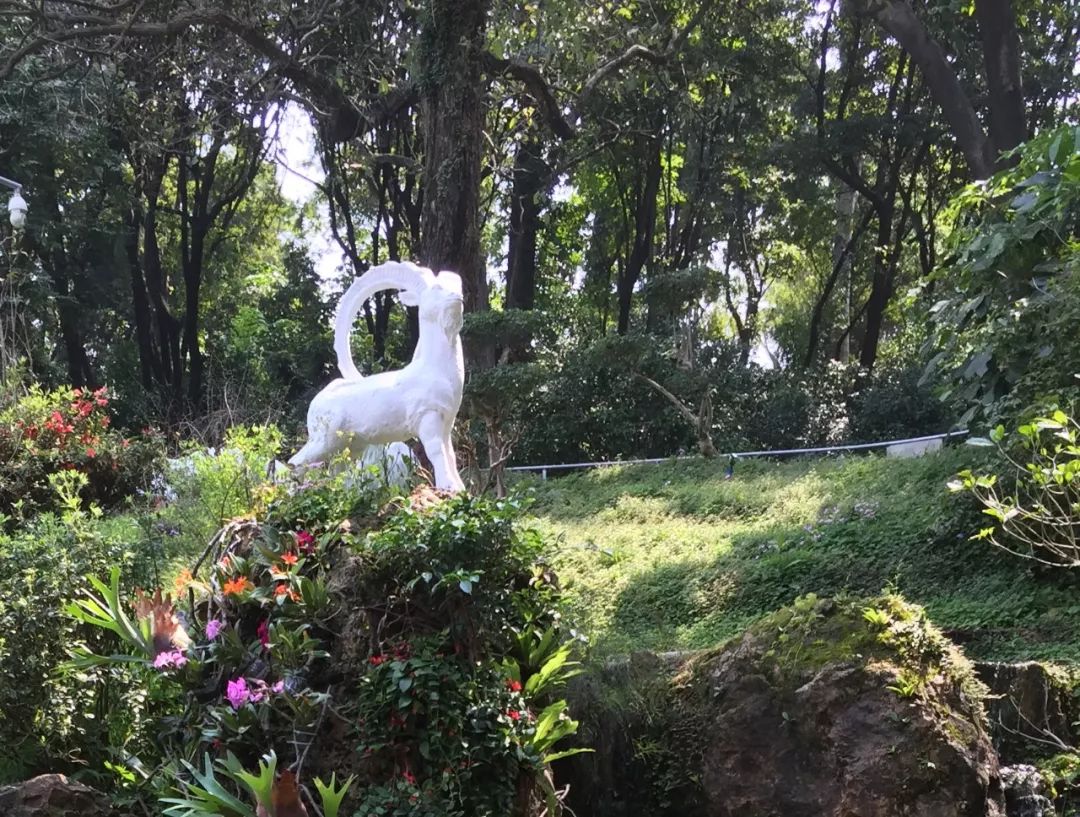 定西安定掌金山公园面向社会募捐建造108座石羊雕像