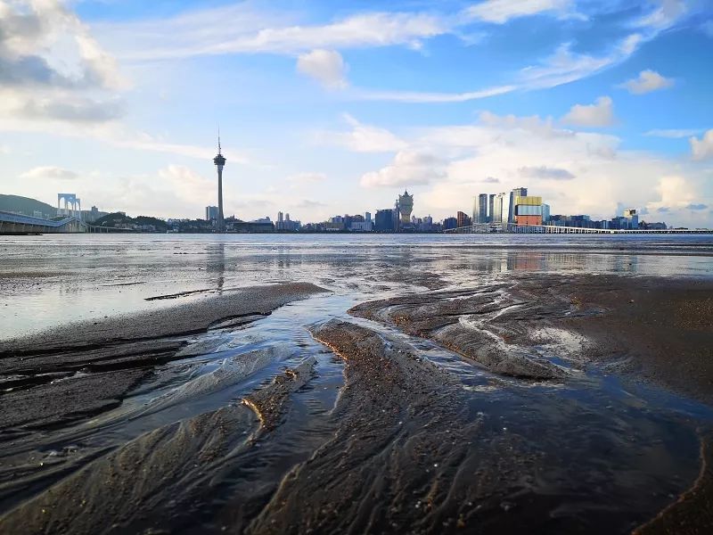 李文乐/摄· 11·日落的澳门同样很美林文彪/摄· 10·what are you