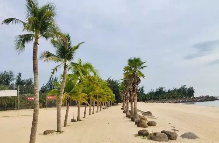 假如我在天成台遇见你其实我最想和你在西海岸看最