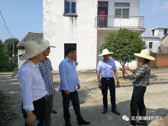 湾沚镇镇长陶荣到津元村督查农村人居环境整治工作