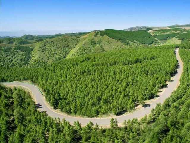 航拍位于河北省张家口市尚义县大青山国家森林公园内的玻璃吊桥