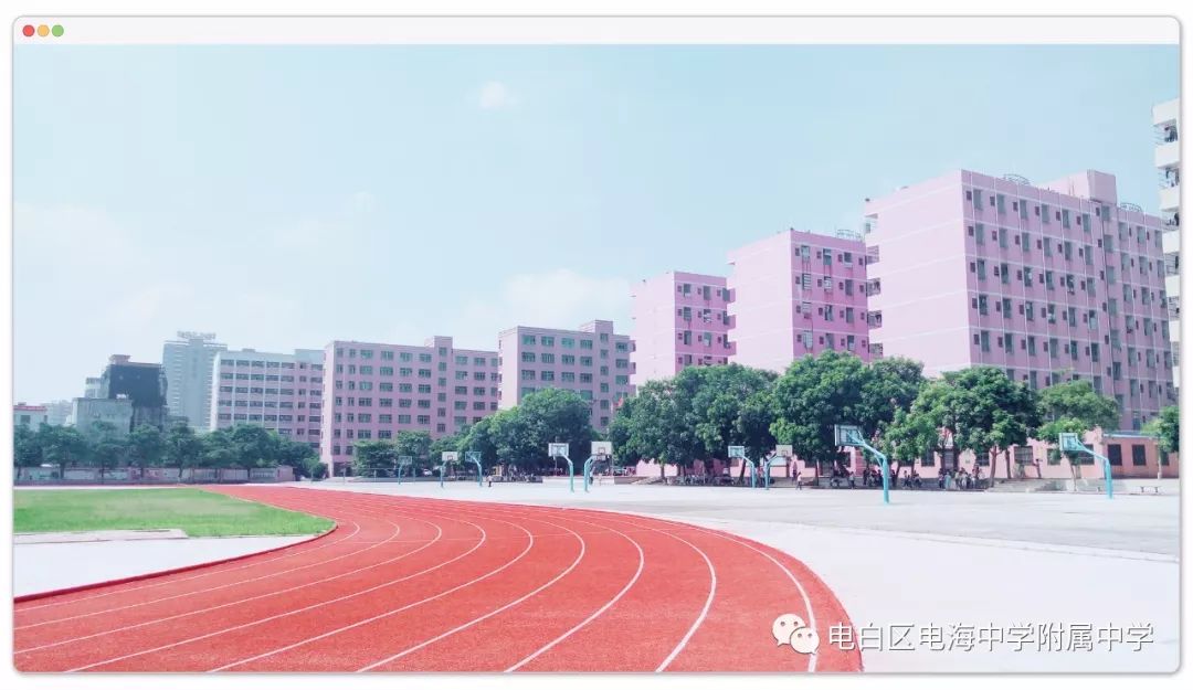 招生电白区电海中学附属中学2019年秋初一招生简章