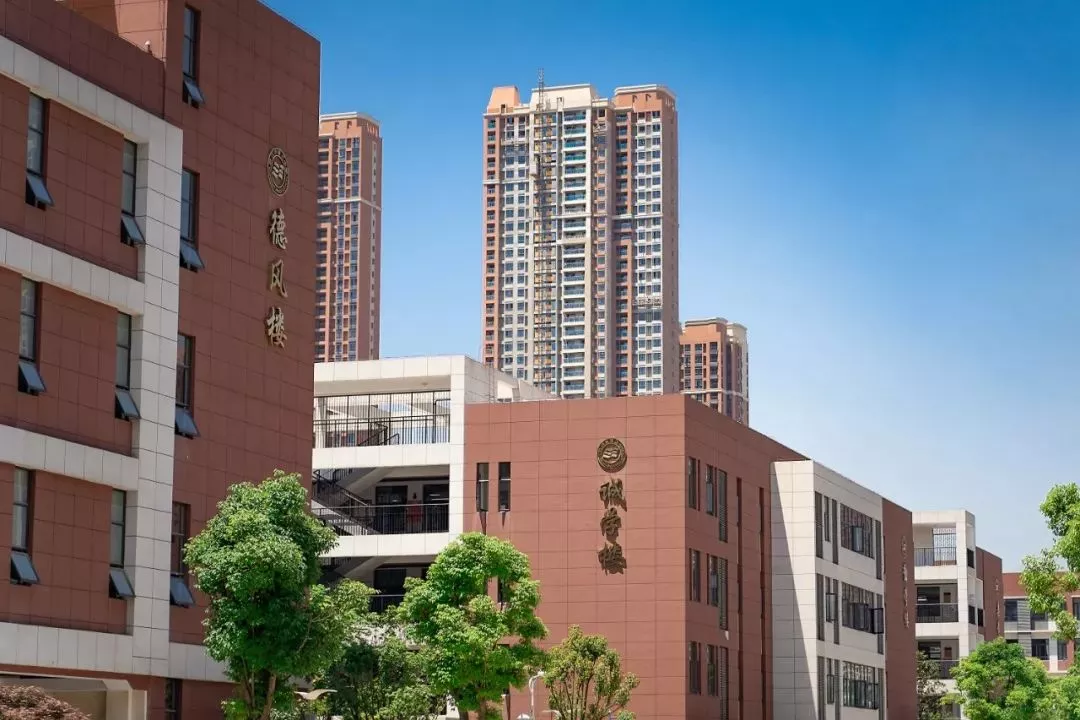 武汉三中搬新校区从拦江路到四新北路藏着多少汉阳伢的青春