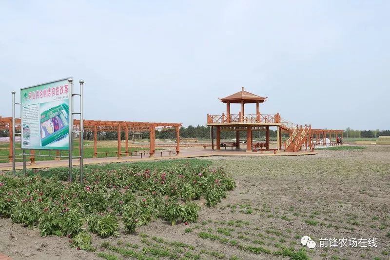 科技示范丨前锋农场绘制绿色发展新名片